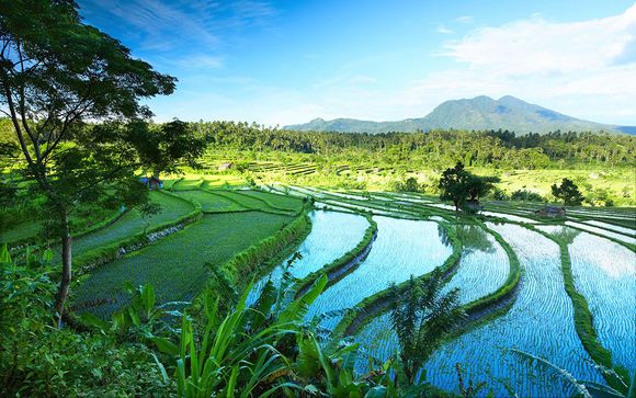 Circuit Merveilles de Bali avec ou sans extension