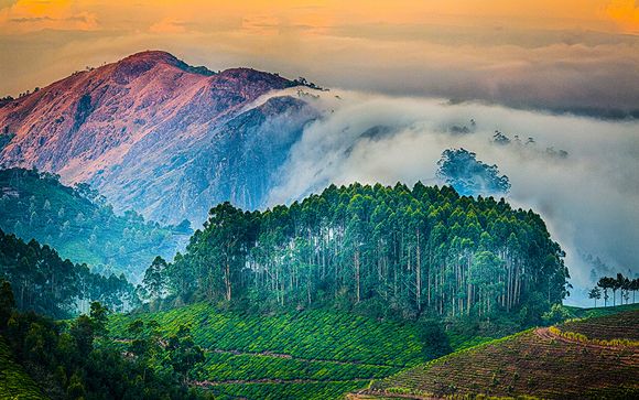 Rendez-vous... en Inde