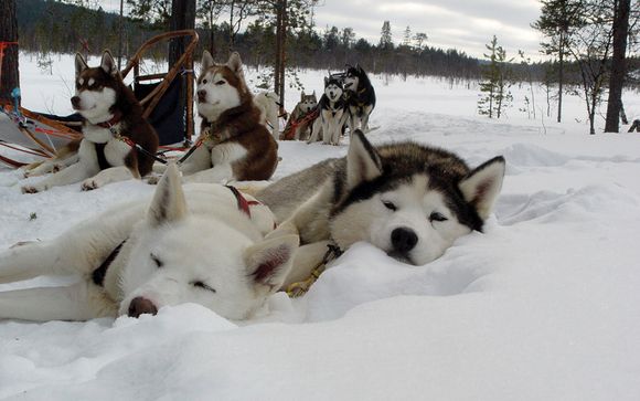 Rendez-vous... en Finlande