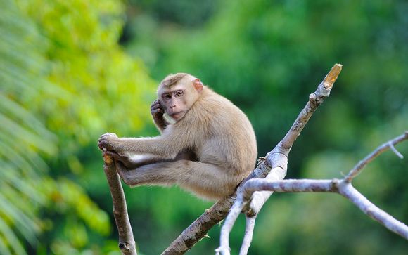 Zoom sur votre programme Grandeur nature