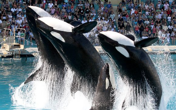 Marineland Resort