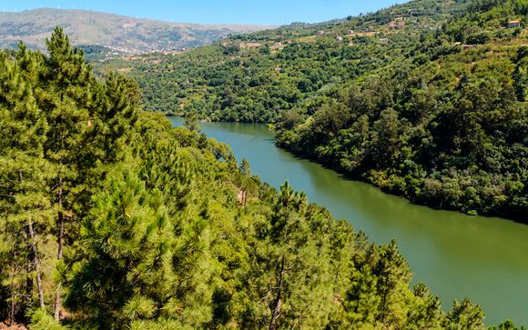 Agua Hotels Douro Scala 5*