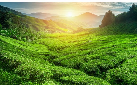 Rendez-vous... au Sri Lanka