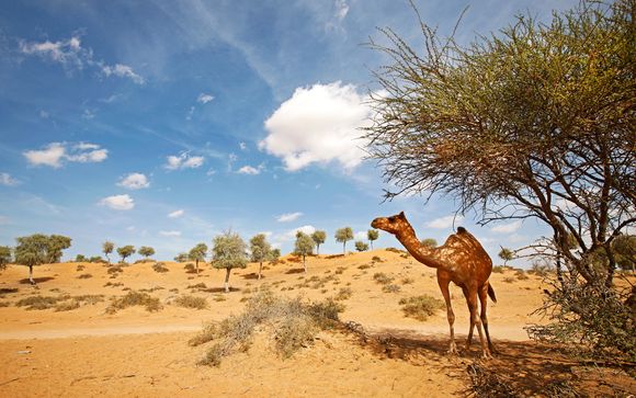 Rendez-vous... aux Emirats Arabes Unis