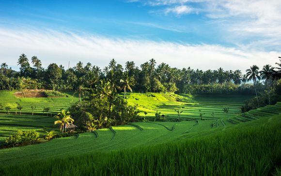 Rendez-vous... à Bali