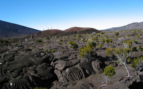 Vos excursions pour plus d