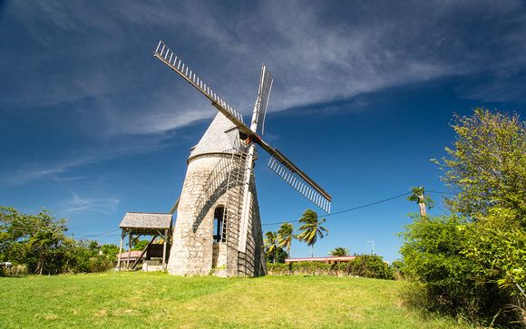 Vos excursions incluses pour plus d'évasion