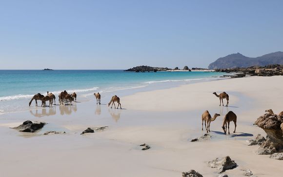 Rendez-vous... aux Emirats Arabes Unis et à Oman