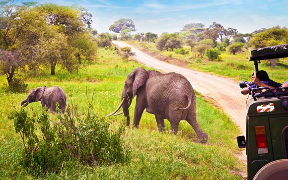 Zoom sur votre safari