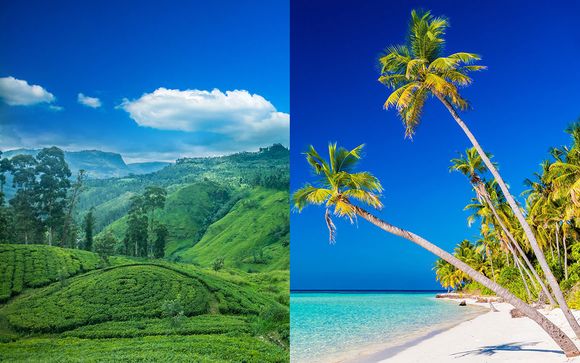 Le triangle d’or Cingalais et extension aux Maldives