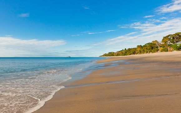 Culture, jungle et plage en Amérique Centrale