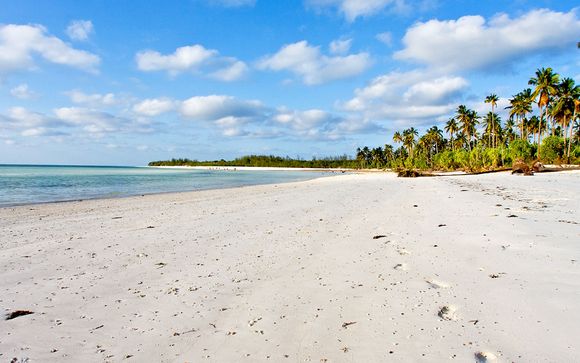 Rendez-vous... à Zanzibar