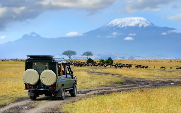 Zoom sur vos safaris