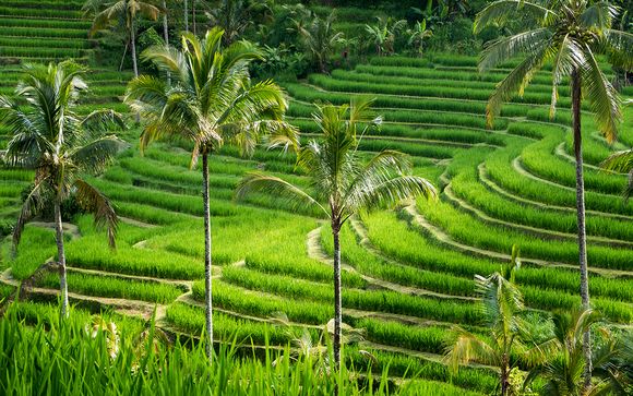 Rendez-vous... à Bali