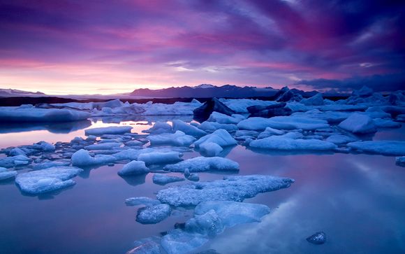Hôtel Icelandair Reykjavik Natura 4* et excursions