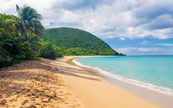 Résidence Caraïbes Bonheur avec location de voiture