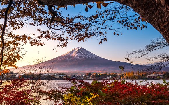 Circuit le Japon en immersion