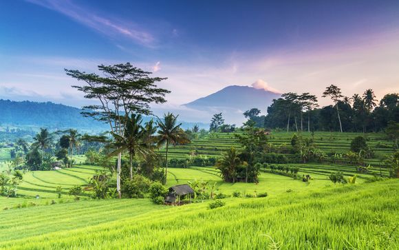 Trio Plataran 4* et 5* Ubud, Menjangan et Canggu avec pré-extension possible à Bangkok