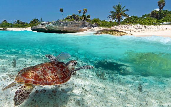 Rendez-vous... à Cancun