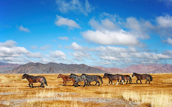 Suivez-nous... En Chine et en Mongolie