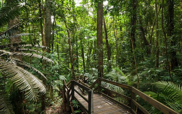 Mettez une option sur l’évasion à Cairns