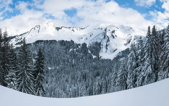 Tout schuss sur les pistes !