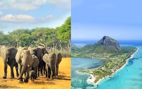 Circuit Big 5 et séjour à l'Ile Maurice