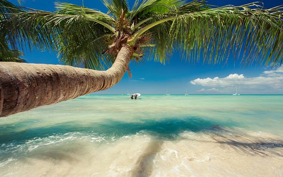 Votre croisière en un clin d'oeil