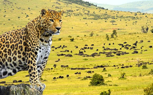 Zoom sur le programme Safari Rift Valley et Baobab Beach Resort & Spa 4*
