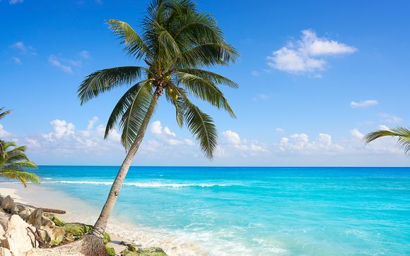 Rendez-vous... à Playa del Carmen
