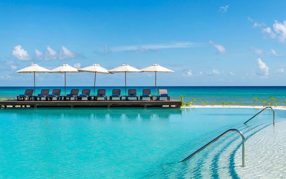 Rêveries sans limites sur la Riviera Maya
