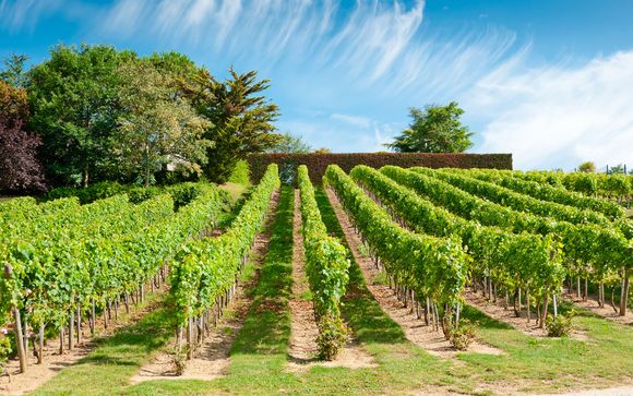 Rendez-vous... en Bourgogne