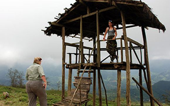 Vos excursions pour plus d