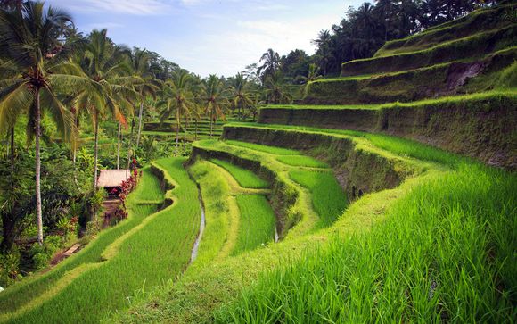 Rendez-vous... Bali