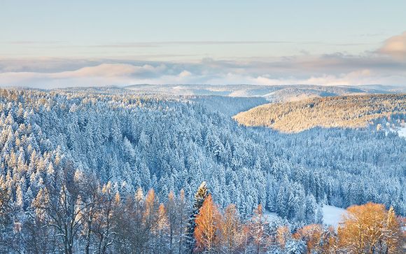 Naturhotel Gut Lilienfein 4*