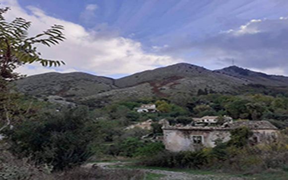 Vos excursions pour plus d