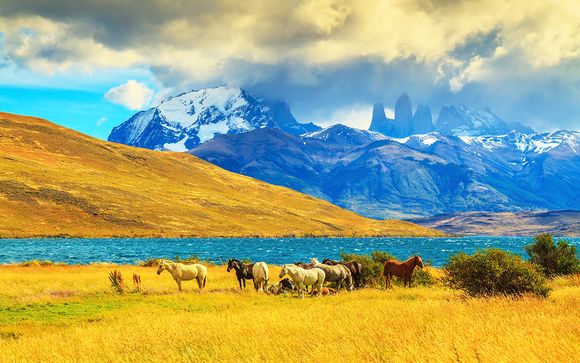Rendez-vous... en Patagonie