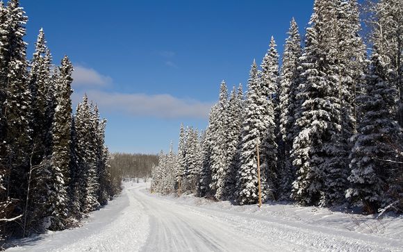 Rendez-vous... au Québec