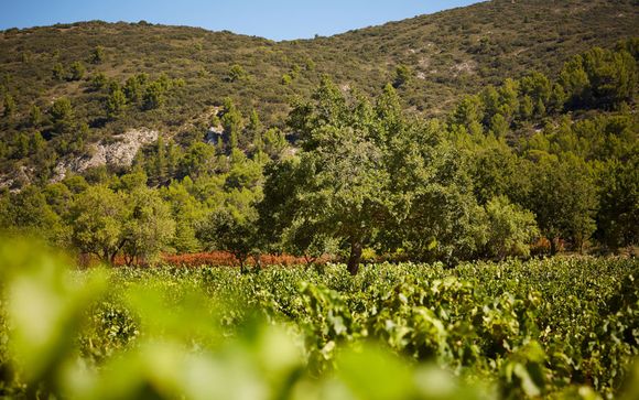Rendez-vous... à Lauris