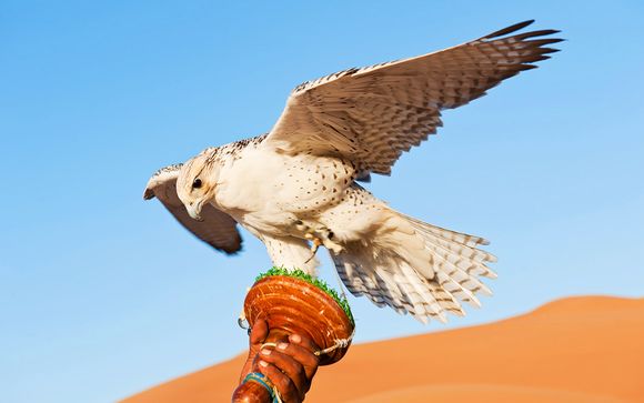 Mettez une option sur l’évasion