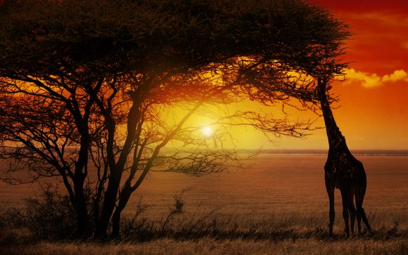 L'anteprima del vostro viaggio