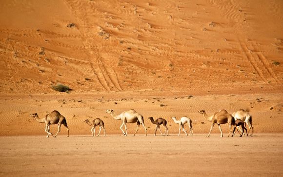 Le tappe del vostro itinerario