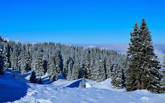 Alla scoperta della Savoia