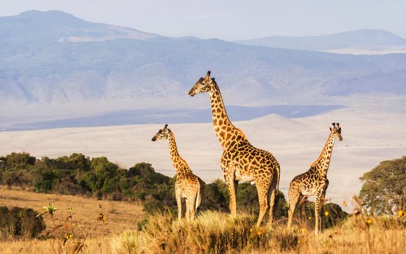 Il vostro soggiorno al Royal Mukumbura Malelane