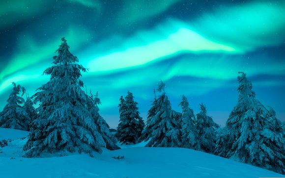 Safari all'aurora boreale in Lapponia (3 ore)