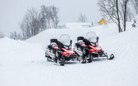 Safari in motoslitta in Lapponia (2 ore)