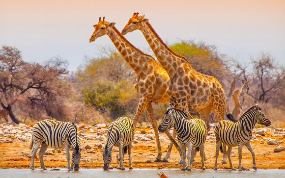 L'anteprima del vostro viaggio 