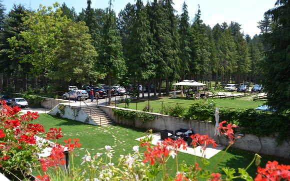 Grand Hotel Parco Dei Pini 4*