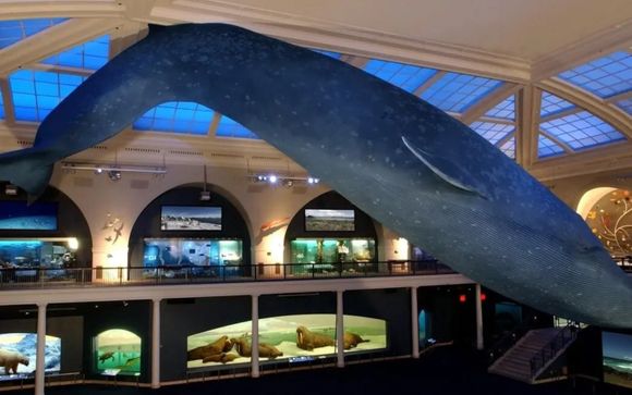 Biglietto per il Museo di Storia Naturale di New York a persona e per soggiorno a partire da 4 notti