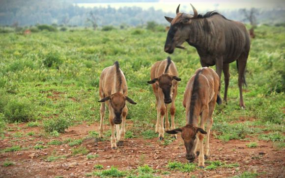 Soggiorno di 12 notti